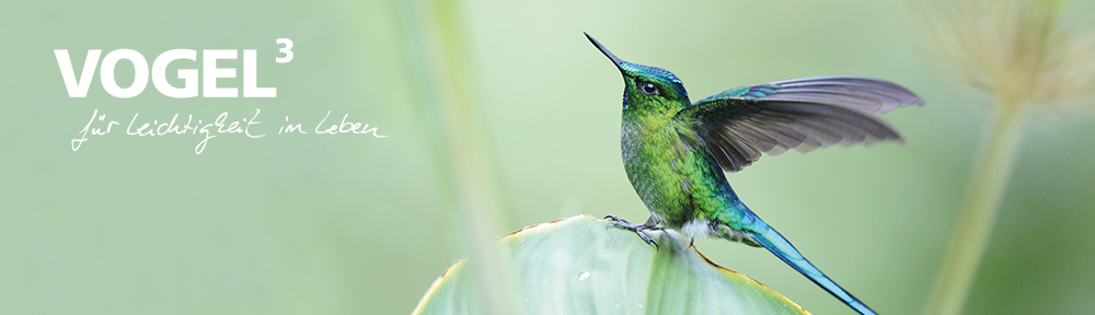 vogelhoch3
